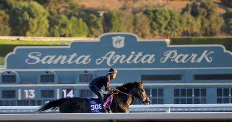 breeders cup payouts|Breeders' Cup 2023 Results: Tracking Winners and Prize Money .